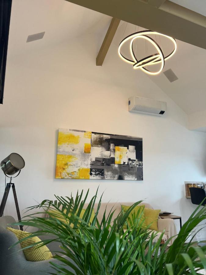 Apartmán Loft Ravissant Avec Parking Gratuit Colmar Exteriér fotografie