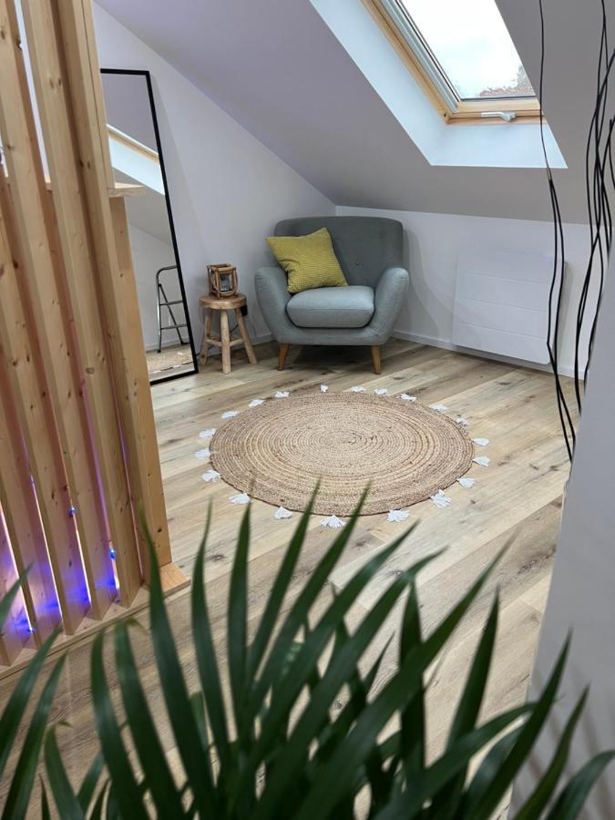 Apartmán Loft Ravissant Avec Parking Gratuit Colmar Exteriér fotografie