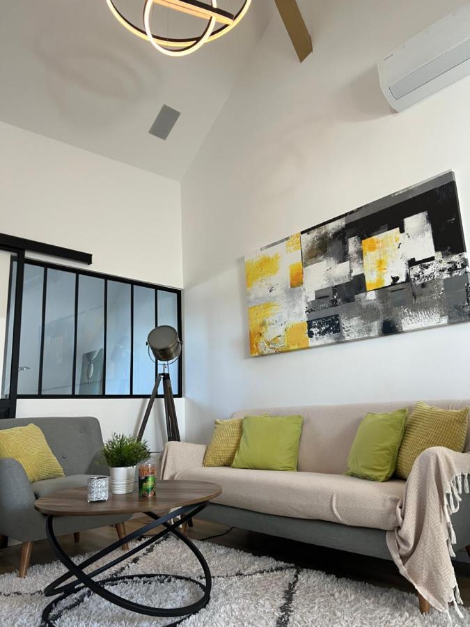 Apartmán Loft Ravissant Avec Parking Gratuit Colmar Exteriér fotografie