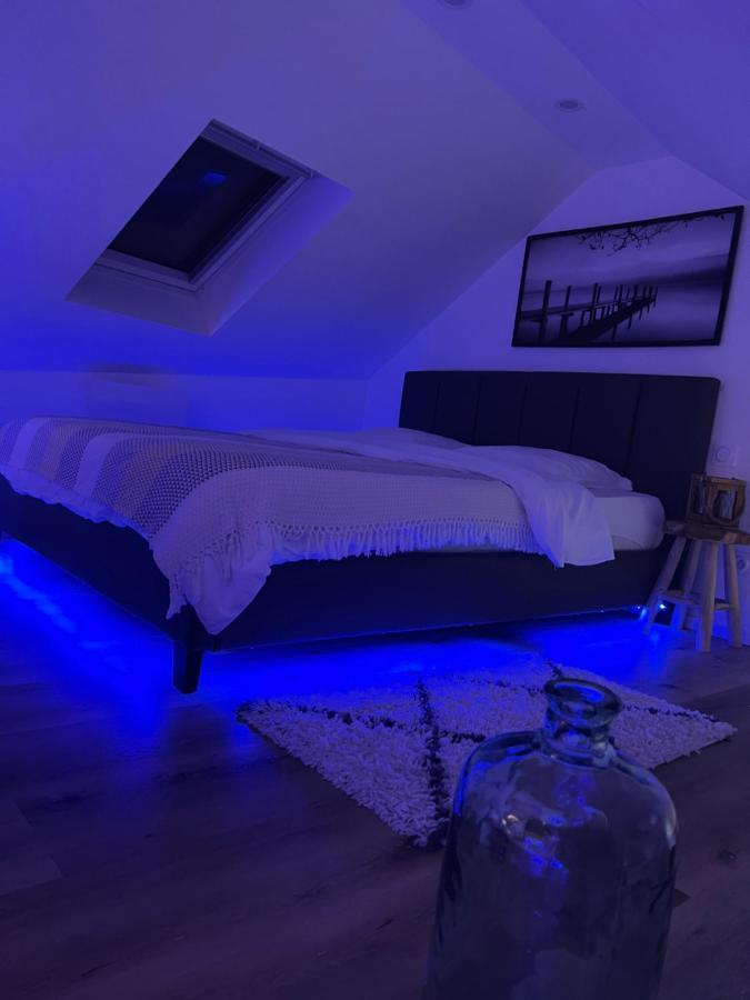 Apartmán Loft Ravissant Avec Parking Gratuit Colmar Exteriér fotografie