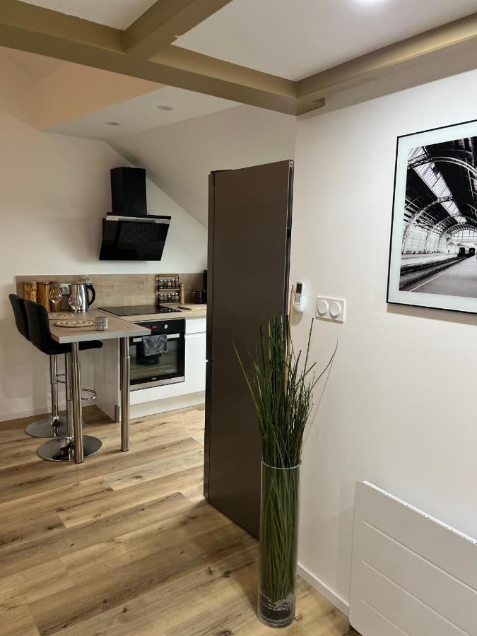 Apartmán Loft Ravissant Avec Parking Gratuit Colmar Exteriér fotografie